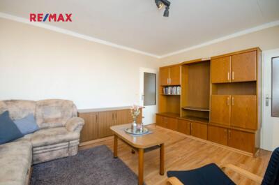 REMAX Delux