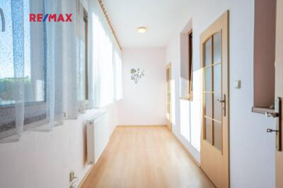 REMAX Delux