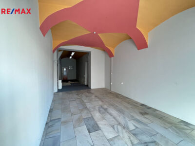 REMAX Brno