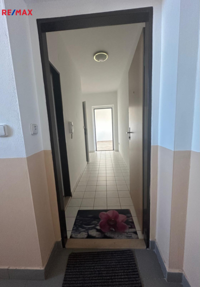 2763583.jpg