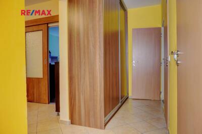 REMAX Delux