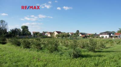 REMAX Delux