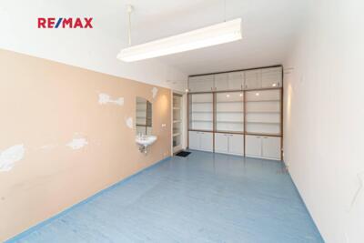 REMAX Delux