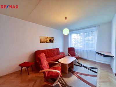 REMAX Delux