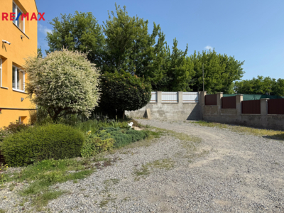 REMAX Delux