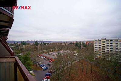 REMAX Delux