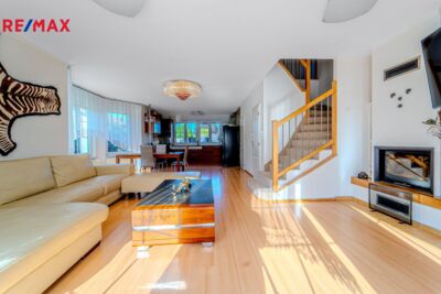 REMAX Delux