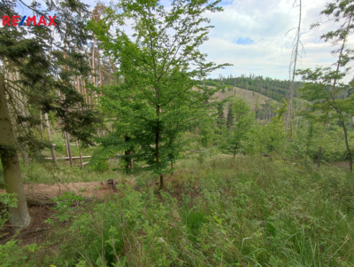 REMAX Brno