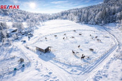 Realitní kancelář Brno