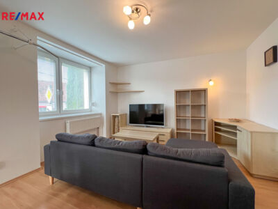 REMAX Delux