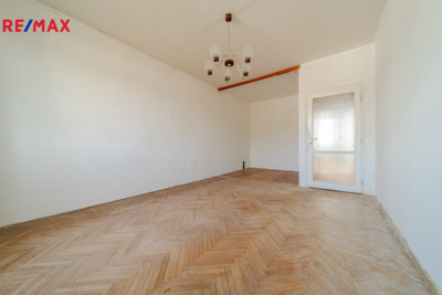 REMAX Delux