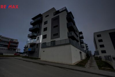 2641481.jpg