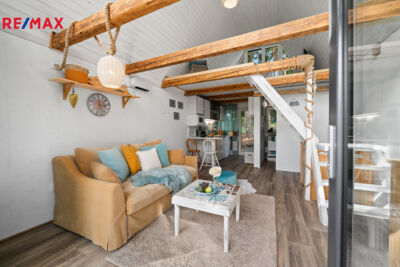 REMAX Delux