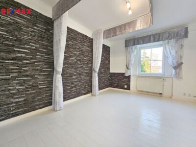 REMAX Delux