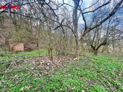 Realitní makléř Brno