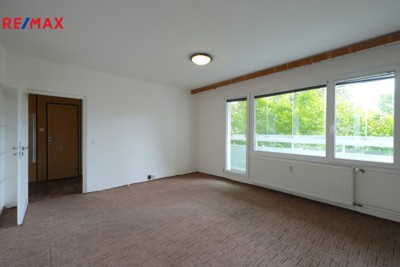 REMAX Delux