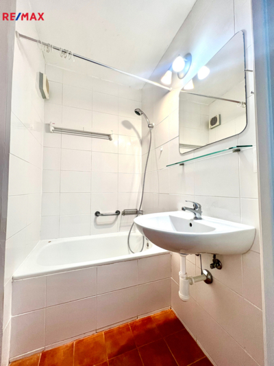 REMAX Delux