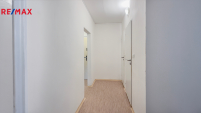 REMAX Delux