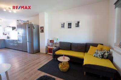 REMAX Delux