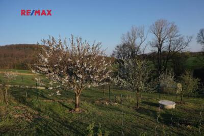 REMAX Delux