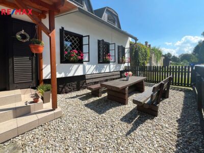 REMAX Delux