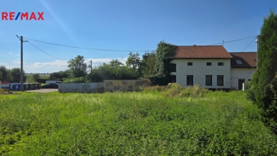 2942116.jpg