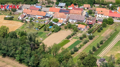 2915950.jpg