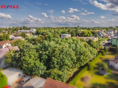REMAX Delux