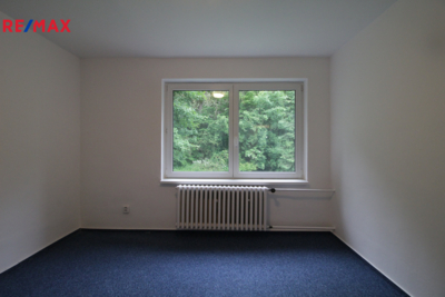 REMAX Delux