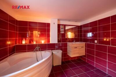 REMAX Delux