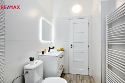 REMAX Delux