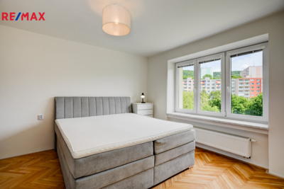 REMAX Delux