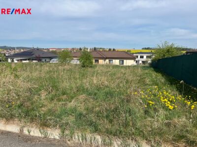 REMAX Delux