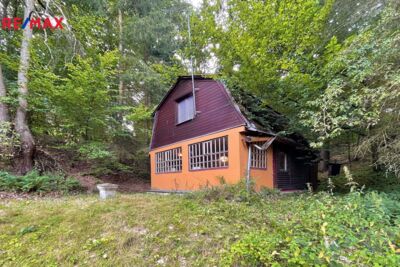 REMAX Delux