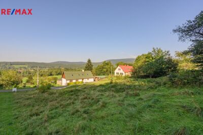 REMAX Delux
