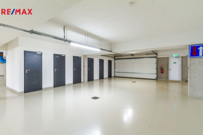 2316780.jpg