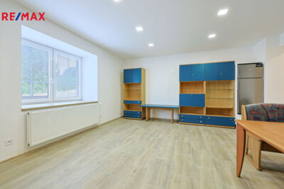 REMAX Delux