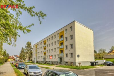 2683166.jpg