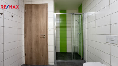 REMAX Delux