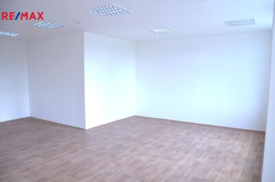 Realitní makléř Brno