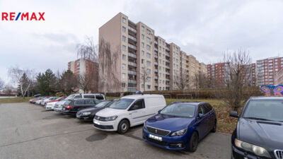 REMAX Delux