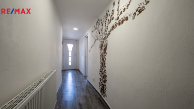 REMAX Delux