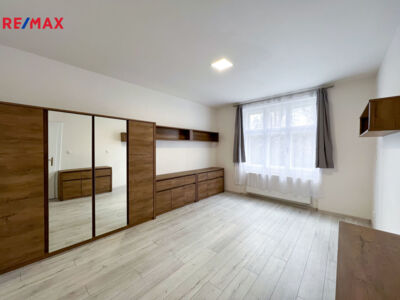 REMAX Delux