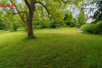 2947796.jpg 2947796.jpg