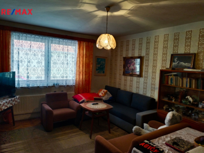 REMAX Delux