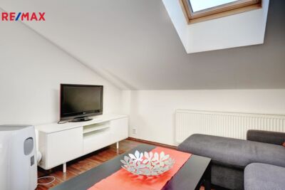 REMAX Delux