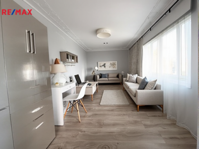 REMAX Delux