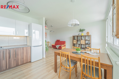 REMAX Delux