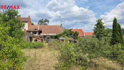 2919129.jpg