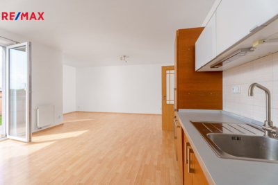 REMAX Brno
